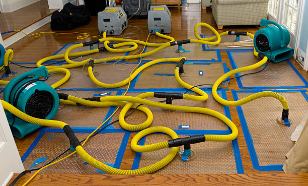Professional Crawl Space Water Removal technician working in Lumberville, PA